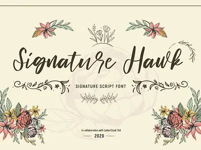 Signature hawk [Script Font] font font bundle font design fonts fonts collection illustration lettering logo font typeface typography