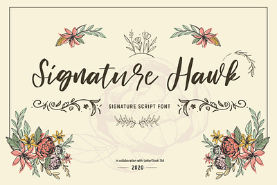 Signature hawk [Script Font] font font bundle font design fonts fonts collection illustration lettering logo font typeface typography