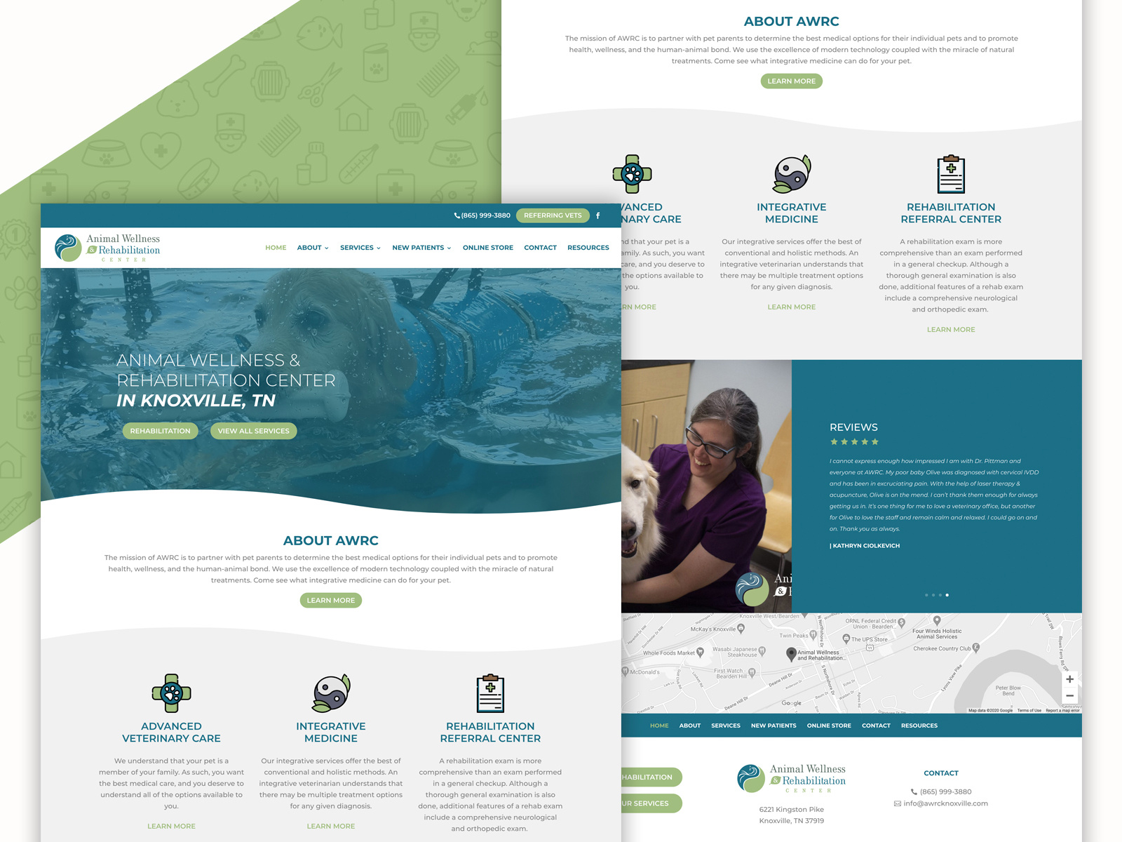 Example of Animal Wellness & Rehabilitation Center - Website Design