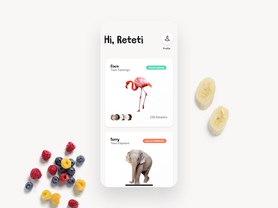 Tamazoo animal animals branding donate education elephant feed flamingo food icon kids needs productdesign tamagotchi typography ui ux