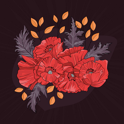 Poppies flowers illustration nature red vector