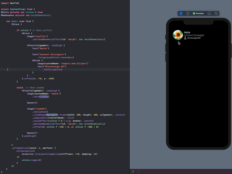 SwiftUI Photo Zoom photozoom animation photozoom interaction swiftui swiftui animation swiftui matched geometry swiftui transition