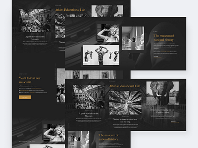 The Natural History Museum dark design design concept history homepage museum ui uiux web design website design