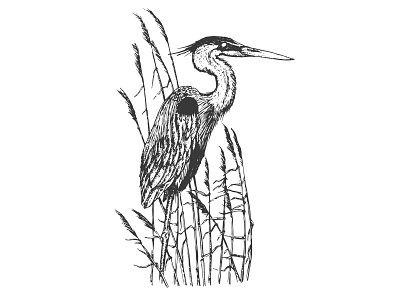 Heron art badge brand branding design draw emblem graphic logo minimal print sketch vector vintage