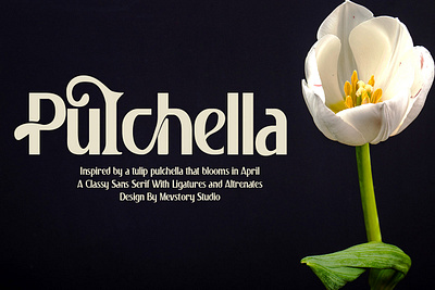 Free Pulchella Sans Serif Font bergen best font best sans font friendly sans geometric sans grotesk humanist sans modern sans neue sans print pulchella sans serif text font