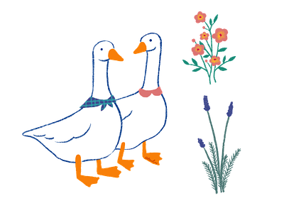 Bestie Geese animal animals art cute design digital art drawing ducks flowers garden geese illustration kawaii nature procreate sketch