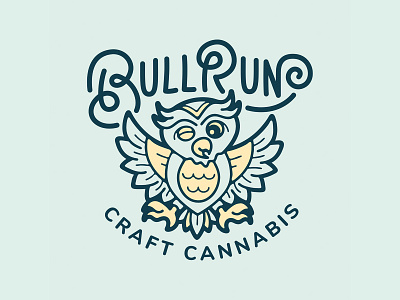 Bull Run Owl