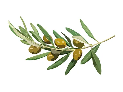 Olives bio design green illustration illustrator logo olives organic plants vector