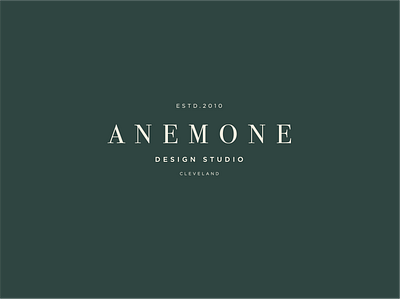 Anemone Design Studio Logo branding design studio typography