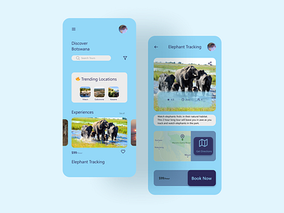 Discover Botswana Concept App app figma tourism travel ui