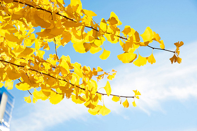 Photography mrsindesign photography