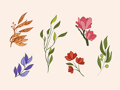 Floral Illustrations art artwork colors digital illustration drawings floral floral design illustration illustration art illustrator leaves line drawing