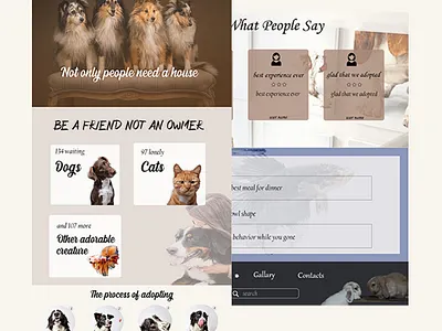 pets branding design pets photoshop psd ui web web design webdesign website