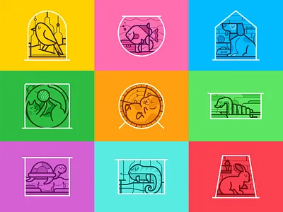 Pets collection bird cage cat corona covid cute doctors dog fish hamster home house indore love pet pets quarantine stayathome