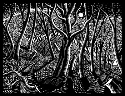 Trees book digital environment folioart illustration lino linocut nature nick hayes publishing trees