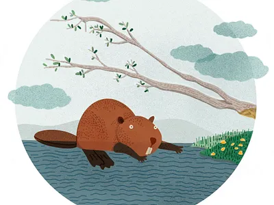 Castor characterdesign childrens illustration illustration nature procreate
