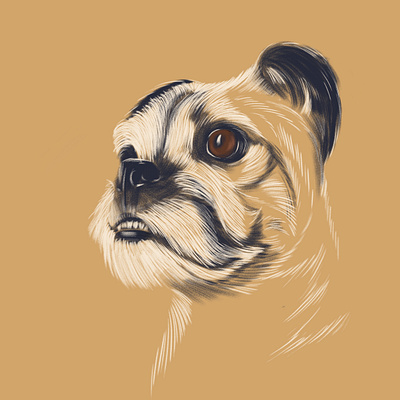 Old pug artwork brush detail digital art digital painting dog drawing dribbblers fast fur illustration old photoshop portrait pug sketch wacom