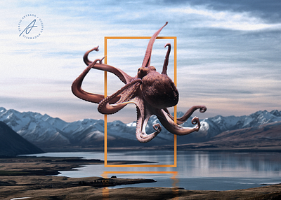 Octopus animal animals art concept creative design graphicdesign idea illustration inspiration landscape octopus photomanipulation photoshop poster trend