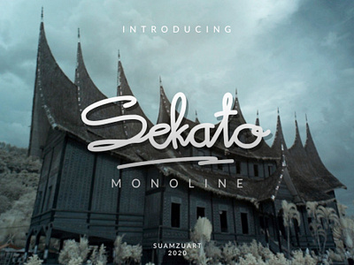 Sekato Monoline Fonts