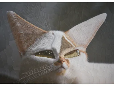 Charlie 29 cat cats collage gato gatos portrait