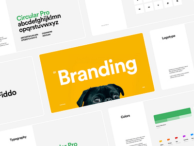 🐶 Fiddo | Dog App | Branding app black branding casestudy circular dog green icons logo logotype mobile mobile app presentation typography ui ux ux design uxui white yellow