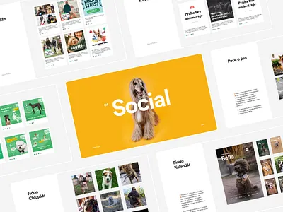 🐶 Fiddo | Dog App | Social android android app app black branding calendar dog facebook instagram ios mobile app mobile ui mobile uiux post social media social media design social media pack stats stories website