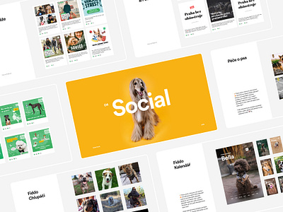 🐶 Fiddo | Dog App | Social android android app app black branding calendar dog facebook instagram ios mobile app mobile ui mobile uiux post social media social media design social media pack stats stories website