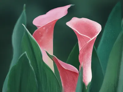 Summer Ending illustration