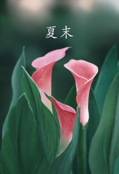 Summer Ending illustration