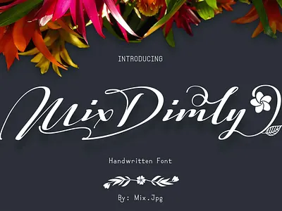 Mix Dimly branding font font awesome font design font family fonts handlettering lettering signature font typography