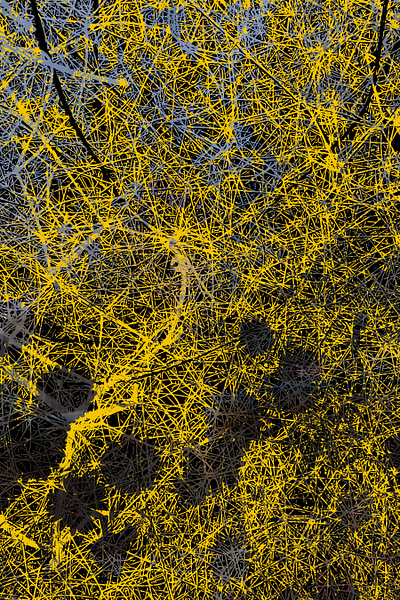 Connections black vector vector art yellow