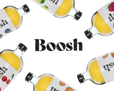Boosh Kombucha branding illustration logo packaging typography