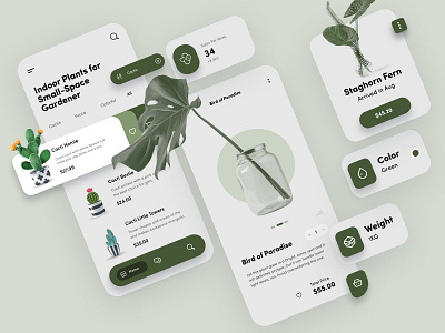 Indoor Plants App app app design cactus cart creative green greenary indoor ios mobile app design modern plant illustration planting plants product shopping app ui workspace