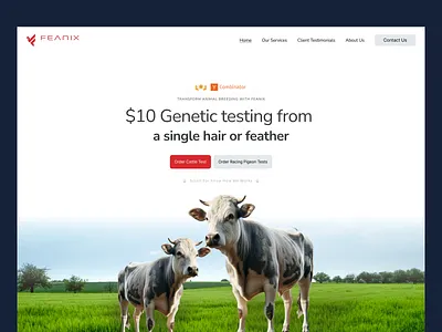 Feanix – Genetic Testing Hero Section UI Exploration animation biotech hero landing page ui