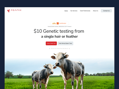 Feanix – Genetic Testing Hero Section UI Exploration animation biotech hero landing page ui