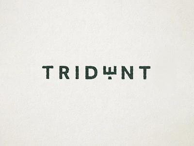 Trident Wordmark branding design graphic design illustration lettering logo typography vector