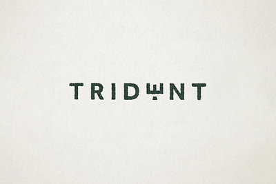Trident Wordmark branding design graphic design illustration lettering logo typography vector
