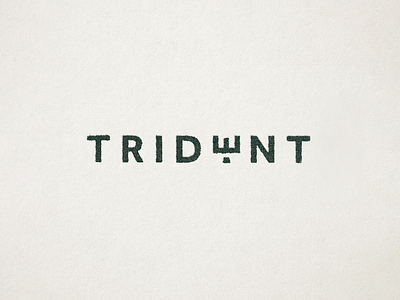 Trident Wordmark branding design graphic design illustration lettering logo typography vector