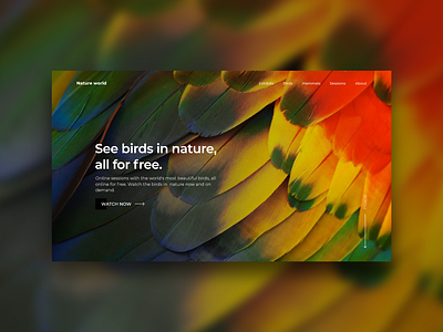 Nature World bird clean design landing page minimal modern nature parrot photography typography ui ui design uiux ux web web design webdesign website website concept website design