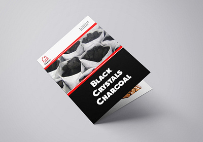 Bifold Brochure Design for Black Crystals Charcoal bifold brochure design branding brochure