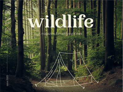Wildlife Magazine branding design editorial graphic design illustration logo typography vector
