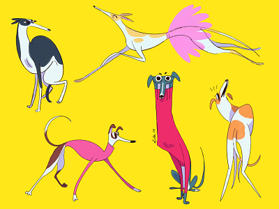 Greyhound cachorro character design dog dog ilustration doggy illustration procreate