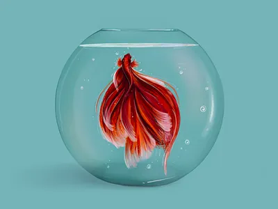Betta fish bowl colorful design digital digital illustration fish illustration water