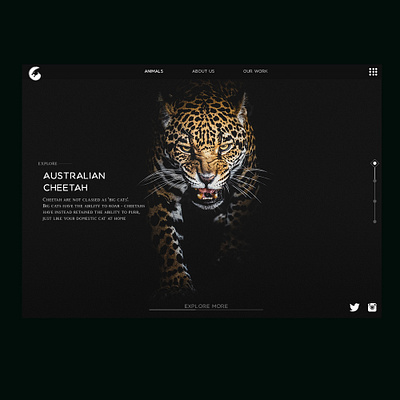 Animals deibbble design webdesign ui design illustration ui ux web webdesign website design ui webdesign website web ui