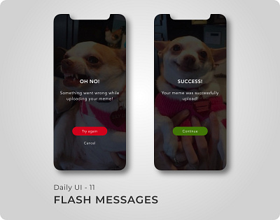 Daily UI: Day 11 - Flash Messages 100 days challenge 100 days of ui app branding design flat typography ui ux