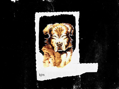 Memory animal black character design collage concept cut design dog drawing edges editing graphic design grunge illustration painting paper photo manipulation photobash torn