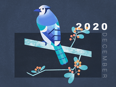 bird in winter animal bird calendar illustration parrot pattern texture