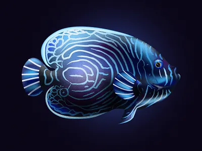 emperor angelfish design fish fishes illustraion illustration illustrator noise noise shadow series vector