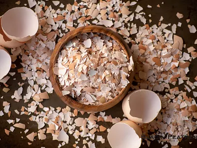 Eggshells photographer photography photos photoshop stock photography stock photos
