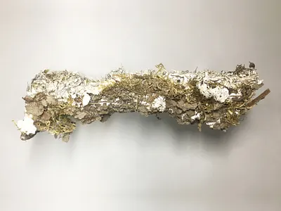 Thesis bauhaus bio art experimental illustration installation pattern photo art raw texture